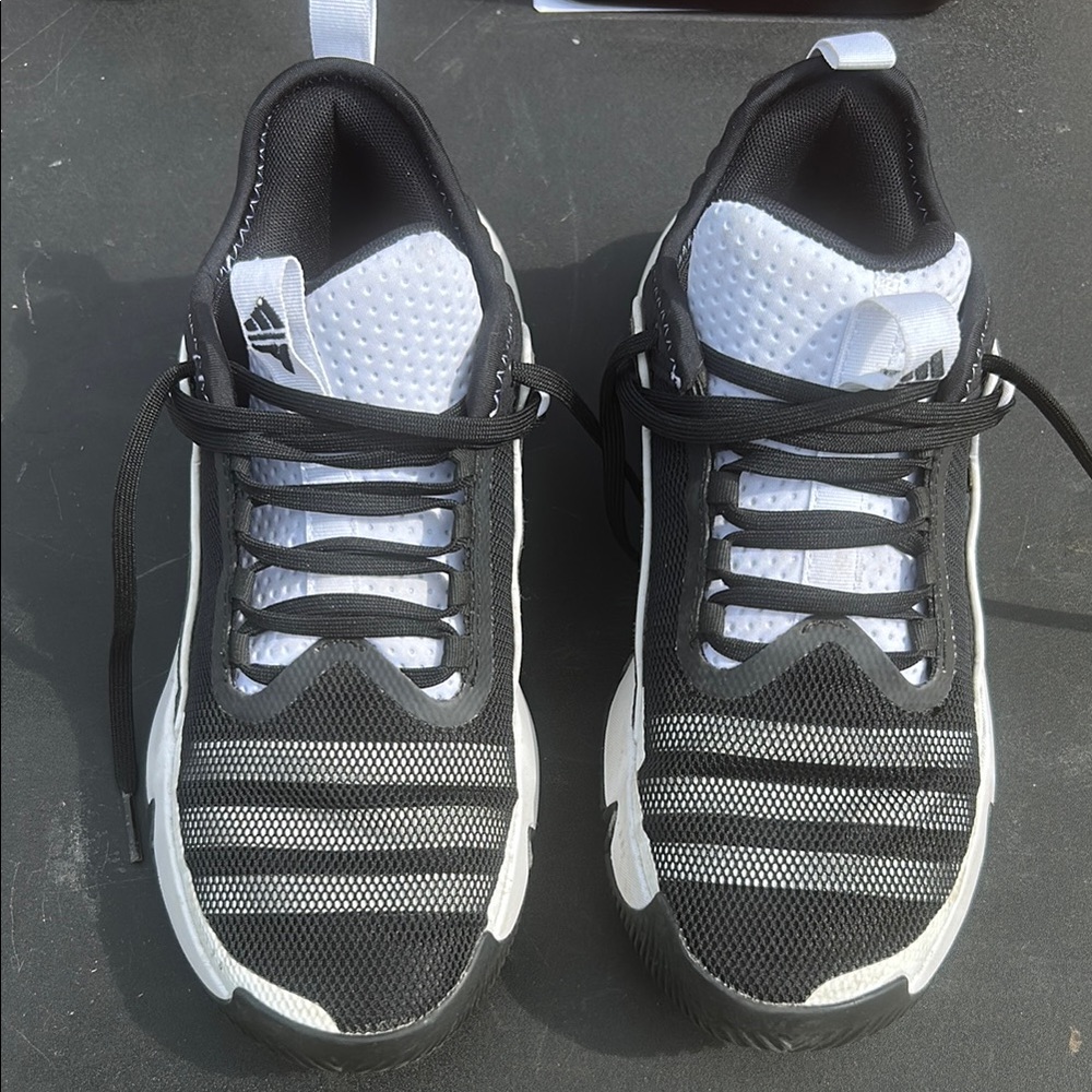 Adidas Black and White Athletic Shoes with Striped Design